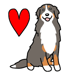 [LINEスタンプ] 犬種別バーニーズマウンテンドッグ(英語)