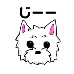 [LINEスタンプ] ウエスティのピンクちゃん 1