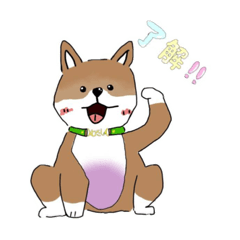 [LINEスタンプ] 柴犬 むーちゃんスタンプ