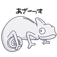 [LINEスタンプ] 背景と同じ色になるカメレオン