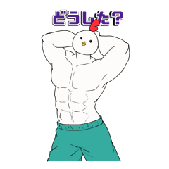 [LINEスタンプ] にわとり君(マッスル)