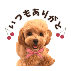 [LINEスタンプ] KURUMIKKOすたんぷ