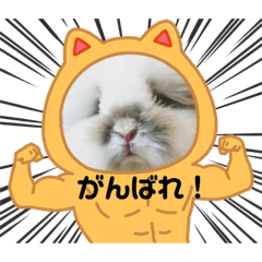 [LINEスタンプ] うさカフェりび 全員集合3