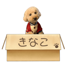 [LINEスタンプ] きなこ大好きだよ
