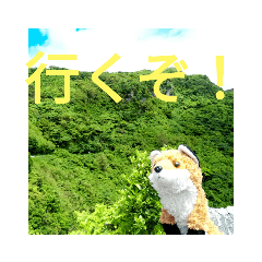 [LINEスタンプ] トレイシーフォックスクラン