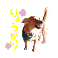 [LINEスタンプ] シバックス雷吉くん。