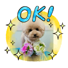 [LINEスタンプ] ぼく、福丸です。その6