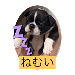 [LINEスタンプ] one・ダ・full