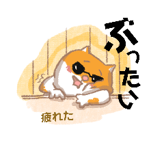 [LINEスタンプ] どぅにゃんこ(与那国の猫)ばんたむぬい