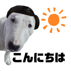 [LINEスタンプ] JRT73ズランプ 第3弾