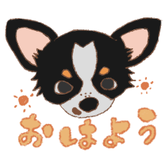 [LINEスタンプ] そばかすのぴっぴ2