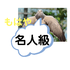 [LINEスタンプ] たけしのスタンプ その28