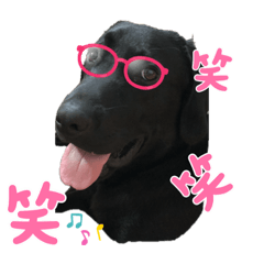[LINEスタンプ] Jack4 eiko
