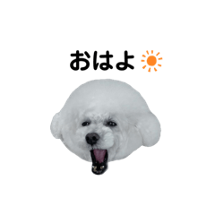 [LINEスタンプ] まりはるmix