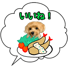 [LINEスタンプ] よっちゅんのアニメーションスタンプpart2