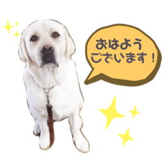 [LINEスタンプ] ふくさんとらいさん