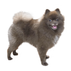 [LINEスタンプ] けむりすたんぷ
