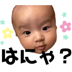 [LINEスタンプ] かいくんの日常で使えるスタンプpart2