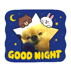 [LINEスタンプ] 丸マルまるスタンプ
