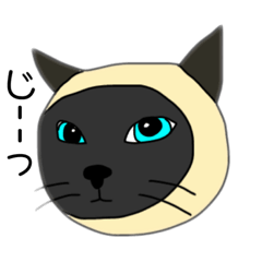 [LINEスタンプ] ねこにゃんきゃっと