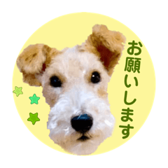 [LINEスタンプ] ラララらいと君のウキウキスタンプ♪