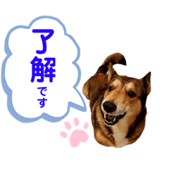 [LINEスタンプ] わんこスタンプワッフル