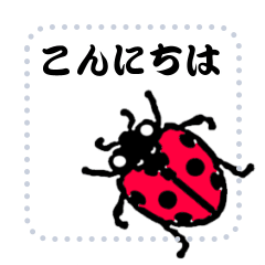 [LINEスタンプ] てんとう虫のメッセージスタンプ