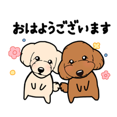 [LINEスタンプ] 幸と小太郎(トイプードル犬)のスタンプ