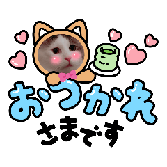 [LINEスタンプ] あいさつスタンプ  ねこのしらたま