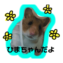 [LINEスタンプ] ひまにぃスタンプ