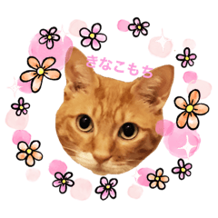 [LINEスタンプ] きなこもち＆ごまだんご