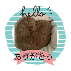 [LINEスタンプ] しんばくんのほのぼのスタンプ