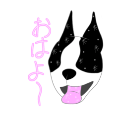 [LINEスタンプ] ボストンテリアさくらと仲間たち