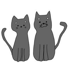 [LINEスタンプ] 黒猫のくまとしま