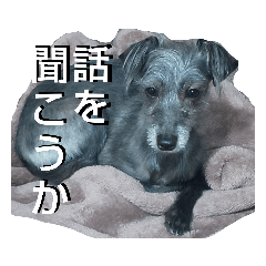 [LINEスタンプ] クロムのすたんぷ