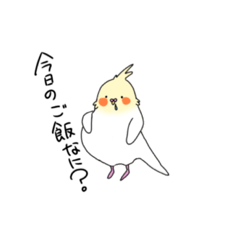 [LINEスタンプ] 鳥のインコの鳥