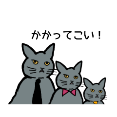 [LINEスタンプ] 灰色ねこファミリー