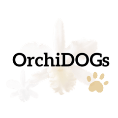 [LINEスタンプ] OrchiDOGs-Halloween