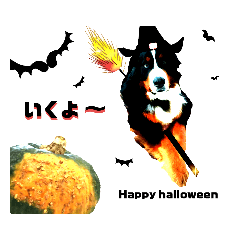 [LINEスタンプ] ハロウィン、クリスマス、可愛い超大型犬