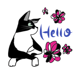 [LINEスタンプ] 白黒猫のりん2