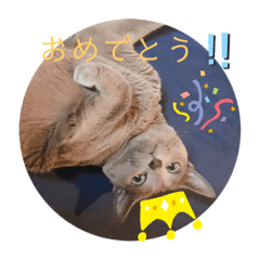 [LINEスタンプ] ルネさんの日常的に使えるスタンプ 2