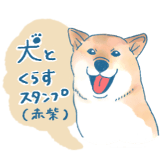 [LINEスタンプ] 犬とくらすスタンプ(赤柴)