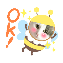 [LINEスタンプ] 挨拶スタンプNo.2 ねこのしらたま