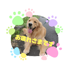 [LINEスタンプ] Aokiあおき