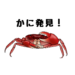 [LINEスタンプ] 日常に潜むカニ