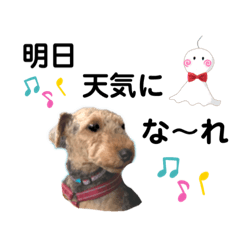 [LINEスタンプ] ウェルシュテリア♡ジェリーさんの1日(20)