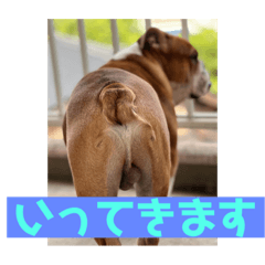 [LINEスタンプ] 大好き金太郎4