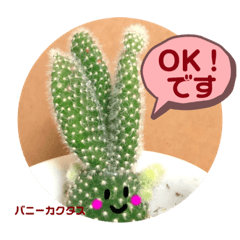 [LINEスタンプ] 多肉植物の可愛いあいさつスタンプ