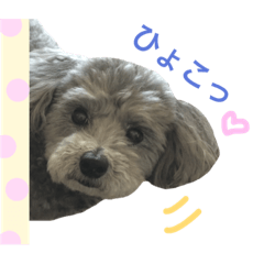 [LINEスタンプ] たるぼっち☆2