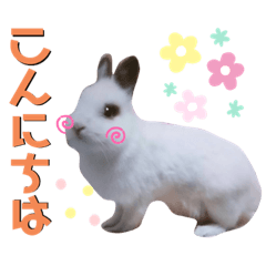 [LINEスタンプ] みみとちび